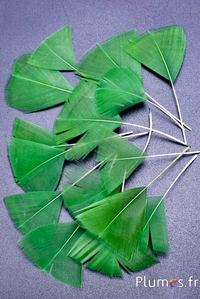Pétales en plumes - 6-8 x 3-4 cm - vert mousse